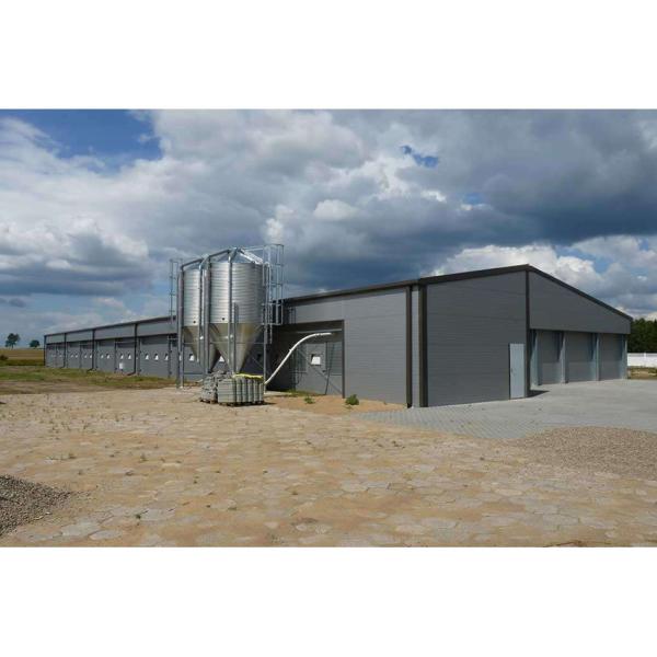 Construção de construções de aço para ovos