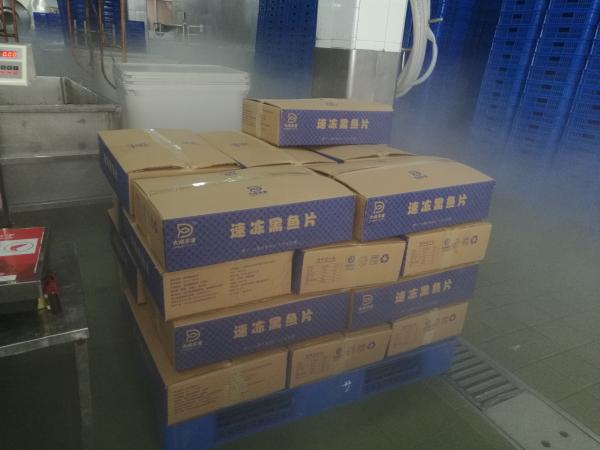 Faixas de peixes de Mesh Belt Tunnel Freezer 400kg/H 600kg/H Meatfish da caixa do nitrogênio líquido