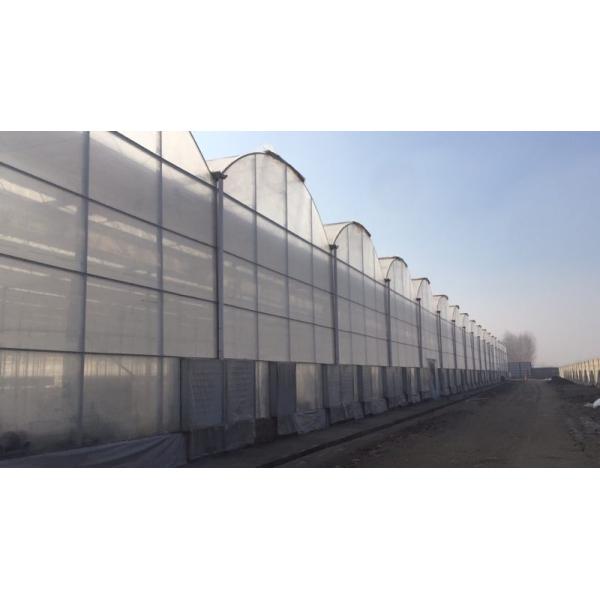 Agricultural Tomato Plant Greenhouse Covers Hollow PC Board For Against External Damage