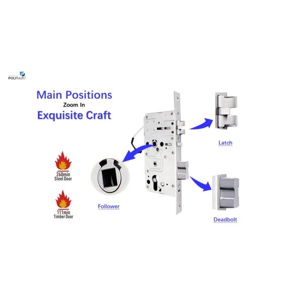European Latch Security Smart Door Lock in Stainless Steel 304 Customized by Polymath