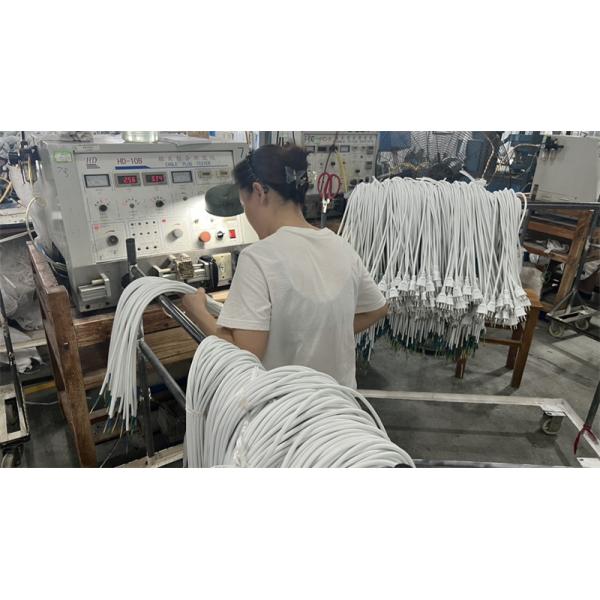 Haiyan County Sheng An Electric Co., Ltd.