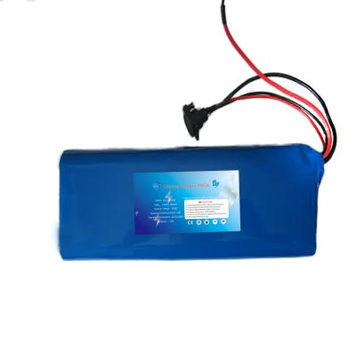 A bateria lifepo4 feita sob encomenda de alta qualidade embala 24v 15ah
