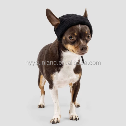 Y-Z Wholesale custom logo designer knitted adjustable winter warm funny dog skull hat