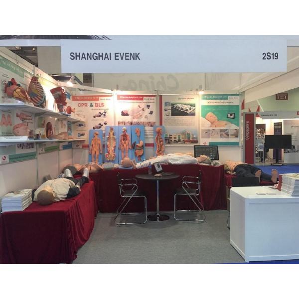 PVC Metal Wire Foot Anatomical Model Training Tool ISO 45001