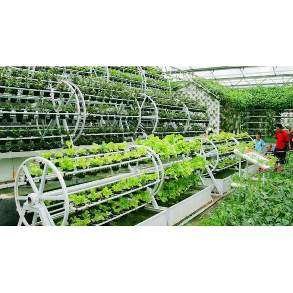 Wholesale Saving-water Hydroponics Vegetables  PVC Nft Hydroponics System For Hydroponic