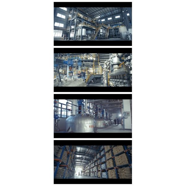 Zhejiang Xinyong Biochemical Co., Ltd.