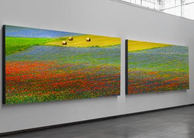 HD P2 polychrome d'intérieur affichage à LED les points 128x64 pour des salles de gymnastique