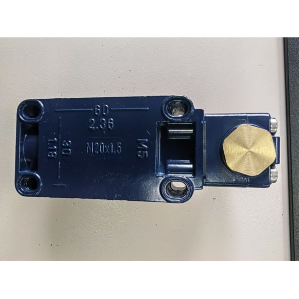 Schmersal M3V4D 330-11Y-M20 | M330 Limit Switch Fork Roller Lever