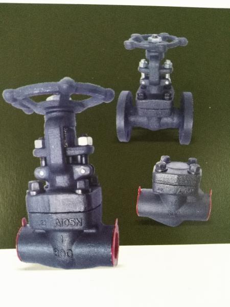 Stainless Steel Small Size Forged Steel Valve NPS1/2- 2 Class 150-1500LB