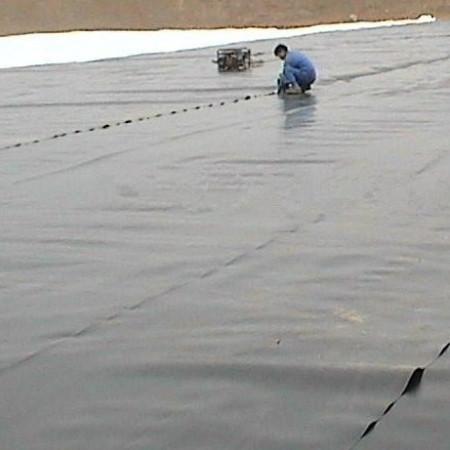 HDPE Fish Shrimp Farm Pond Liner Geomembrane 0.5mm Thickness ASTM GM13 for Aquaculture