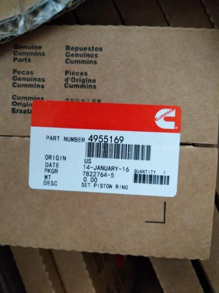 Cummins piston ring 3801056 4955169 3802420 3802429 4089500  AR12098 3802040 3802230 4089644  4955169