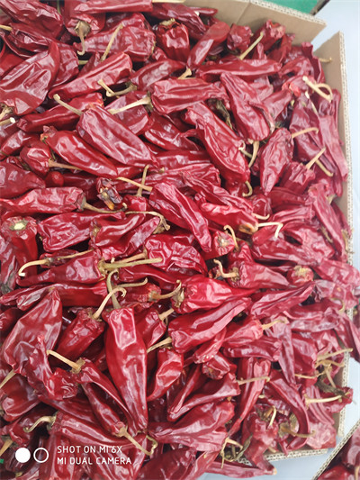 Высушенный Chili Yidu с рангом a стержня высушил красные стручки Чили
