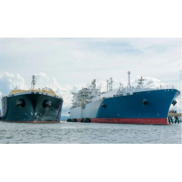 Обвайзеры резиновой шлюпки обвайзеров 0.05mpa Иокогама корабля раздувные морские