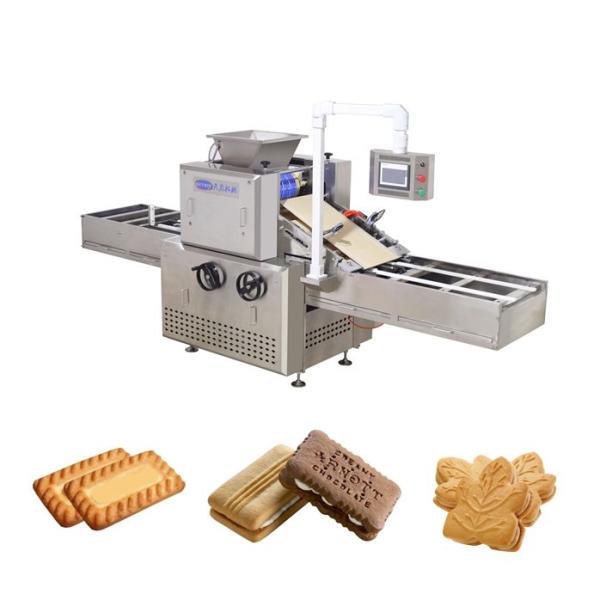 50-80kg/h Soft Biscuit Making Machine siemens PLC touch screen