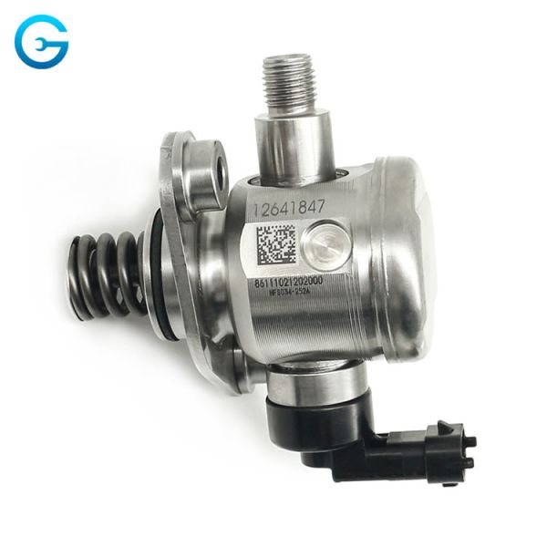 Direct Manufacturer Low Moq Fuel Pump for Gmc Terrain 12641847