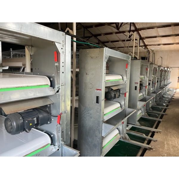 Automatic Poultry Farming Equipment with Nipple Drinkers 48VDC Dimmable Lighting and Galvanized Steel Frame