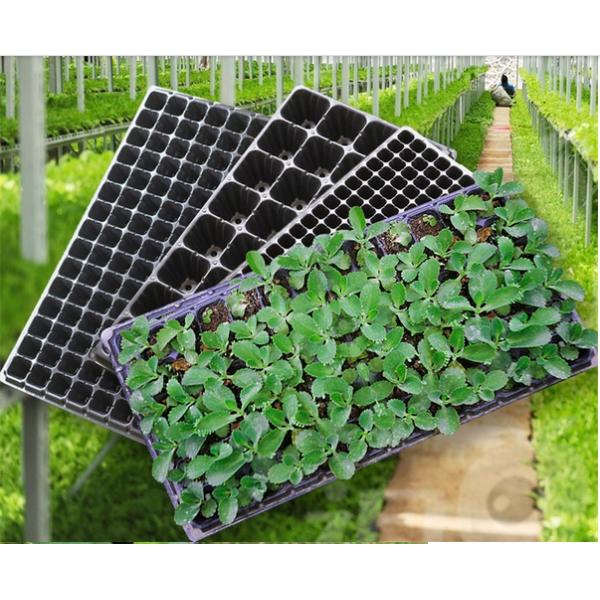 wholesale hydroponic seed propagation plastic growing tray