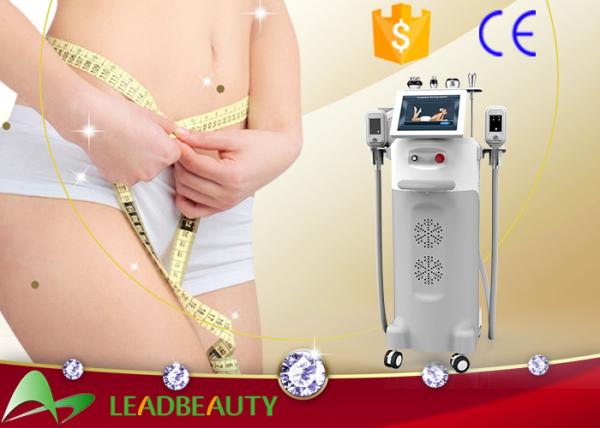 bottom price vertical cryolipolysis far freeze slimming machine /best effective cavitacion rf