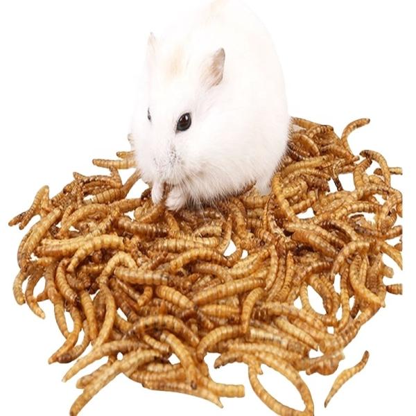 Extended Shelf Life Mealworm Oil - 2 Years Shelf Life High Nutritional Value