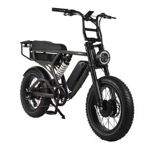 Disc Brake and Dual Battery Mid Drive Electric City Bike for Adult Classic Ebike