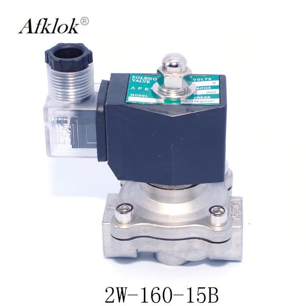 ZCG Lpg Gas Solenoid Valve High Temp Durable Ss304 24V DC For Gas 1/4''