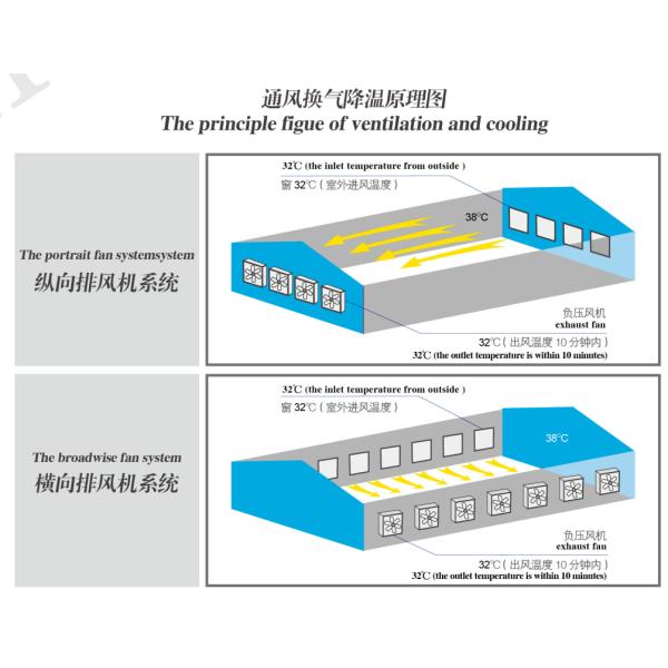 DHF Direct drive spray white exhaust fan/ blower fan/ ventilation fan