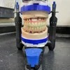 Choose China Dental Implants for Permanent and Reliable Solution to Missing Teeth with Wholesale Prices