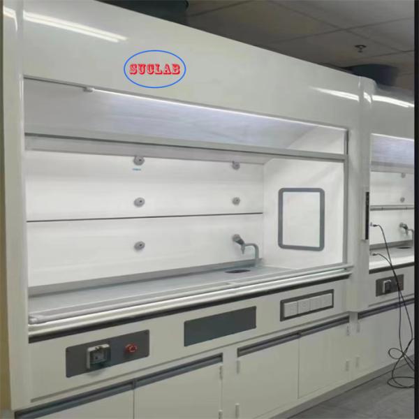 Customized Chemical Fume Hood Laboratory Fume Cupboard With Scrubber for Clean Environments Noise ≤60dB