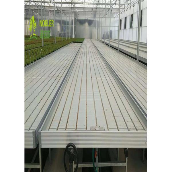 Хйдропоник парник саженца подносов растет кровати для Седбед/овоща заводов