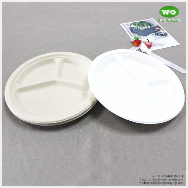 Biodegradable Sugarcane 10 Inch 3-Compartments Plate-HeavyDuty Plate, Natural Disposable Bagasse Plate for Party,Picnic