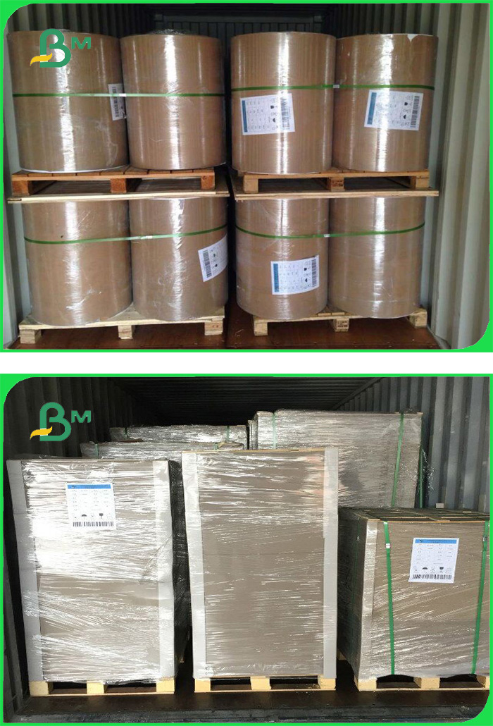 Lunch Box Paper 300 грамм картон из слоновой кости + 15 грамм PE-покрытой бумаги с коробкой для приготовления обеда