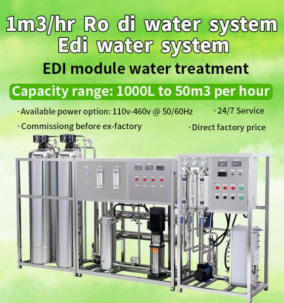 Electrodeionization Edi Module Water Treatment 1000L/Hour UPVC Material