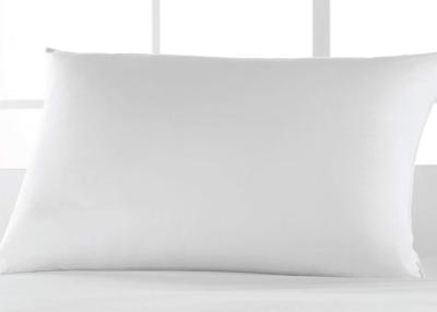 Standard Size Hypoallergenic 1000g Polyester Fiber Pillow