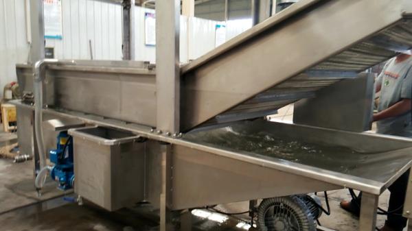 Apples Pears Fruit And Vegetable Processing Machinery Full Automatic Food Grade Stainless Steel