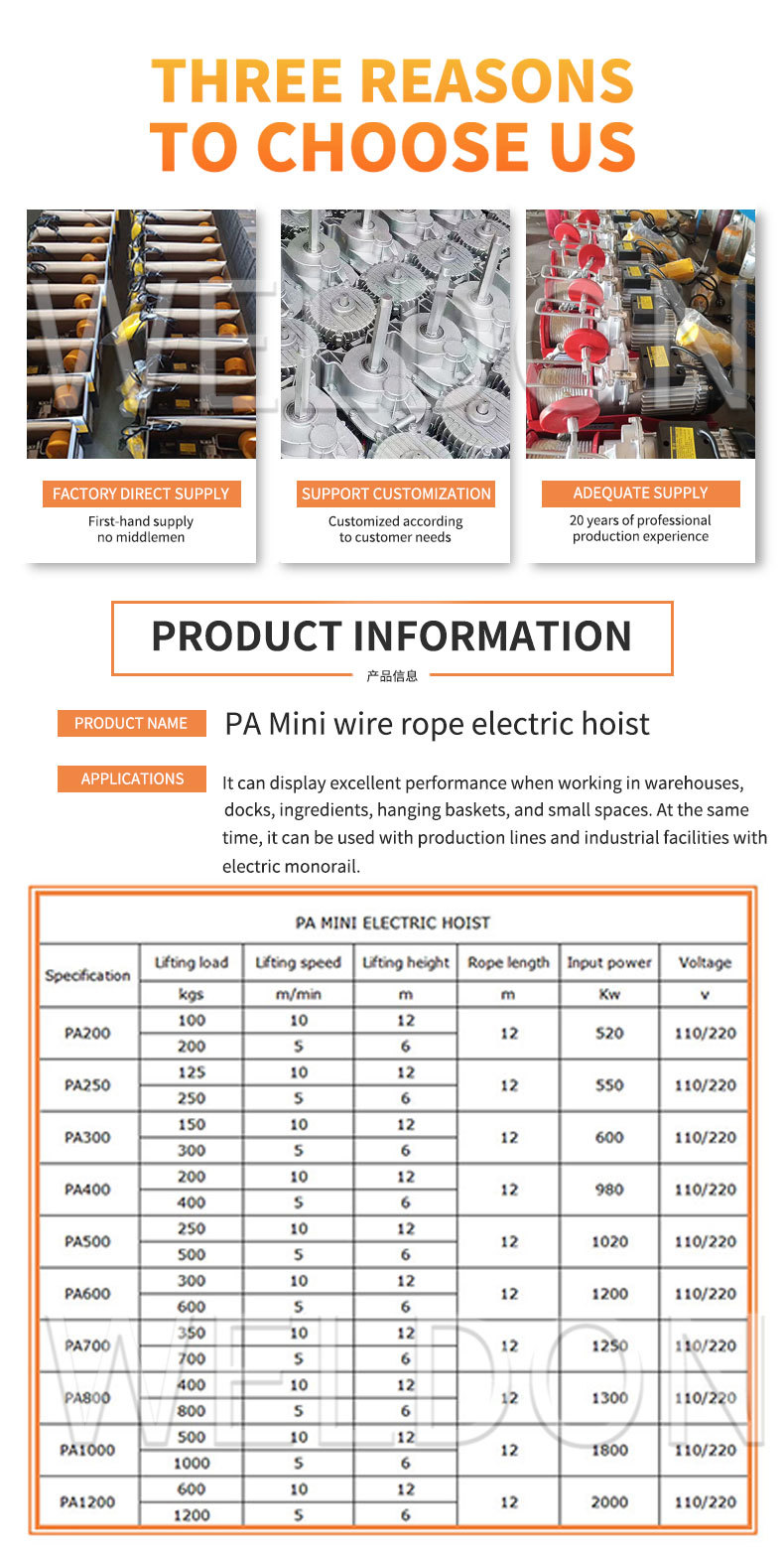 Light Weight Mini Electric Wire Rope Hoist Wireless Control Micro Electric Rope Hoist