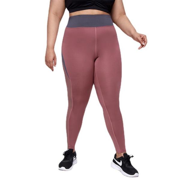 As mulheres apertadas mais a ioga do tamanho arfam Mesh Splicing High Elastic Quick seco