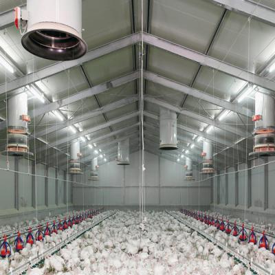 Fireproof Steel Structure Poultry House Automated Ventilation Steel Frame Chicken Coop