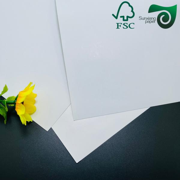 FSC Certified High Printability Double Sided Coated Glossy Cover Paper  460mm  650mm