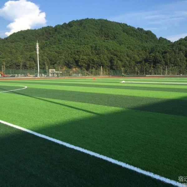 Plastic Backyard Putting Green Real Grass Long Life Flooring High Simulate