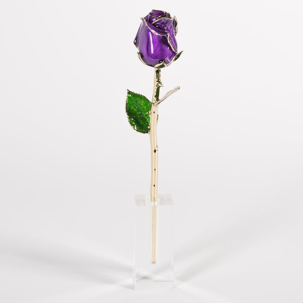 24k Gold Trimmed Rose Fresh Preserved Flower Gold Plated Natural Rose Handmade Preserved Rose