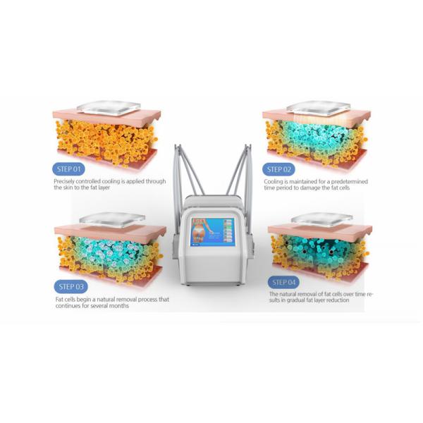 Машина красоты машины стимулированием Muslce замерзая машины Cryolipolysis жирная электрическая для потери веса