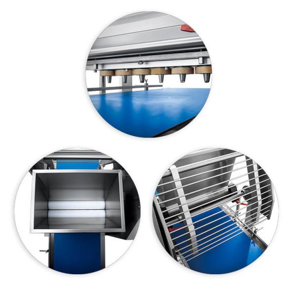 Upgrade Your Fortune Cookie Production Line with Our Best Rotary Butter Cookie Maker