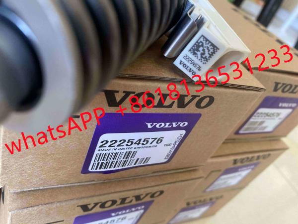 Factory Good Price Supply Fuel Injector BEBE4P02002 For D13K 21977909 More Models in Good Working