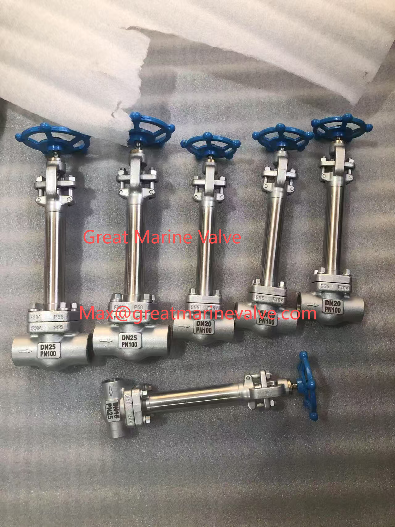 The Long-Stem Cryogenic Globe Valve SUS, CAST STEEL -196