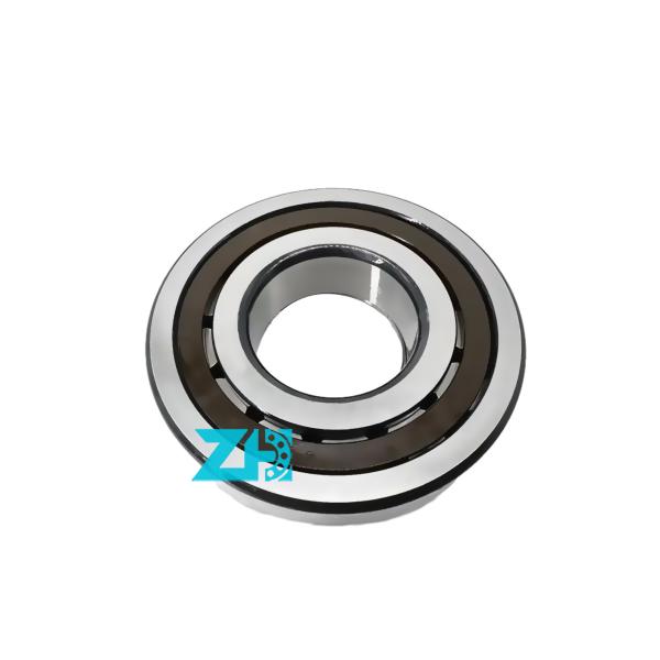 F140027 tamanho 46.2x80x21mm Roda de rolos cilíndricos de fila dupla de alta precisão e capacidade de carga GCR15