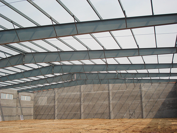 Low Carbon Steel Structure Buildings , Large Span Steel Structure Warehouse