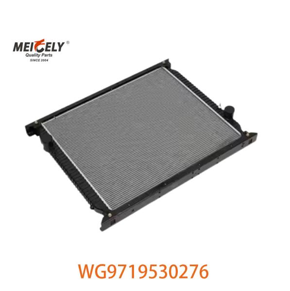 Original WG9719530276 Radiator Assembly WG9725530270 Fit For HOWO Truck