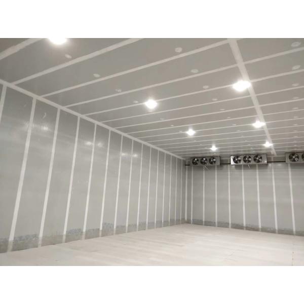 Portas ultrassônicas do armazenamento frio da sala de CA para a esterilização do vegetal de fruto