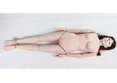 Full Length Preoperative Aseptic Manipulation Simulation Manikins Model