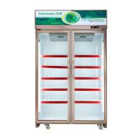 A porta da cor do ouro obstrui dentro o refrigerador comercial da bebida do sistema com baixa temperatura